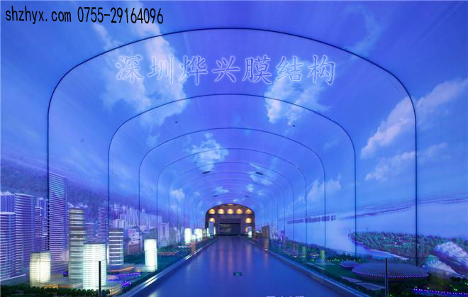 KTV膜結構.jpg