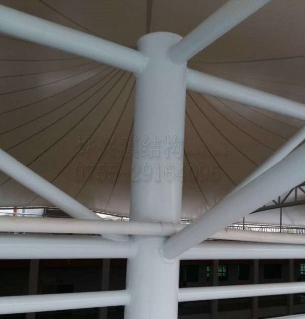 膜結構內部結構